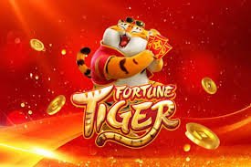 VIP ဘင်ဂိုကစားသမားများ အတွက် Bonus နှင့် Cashback
